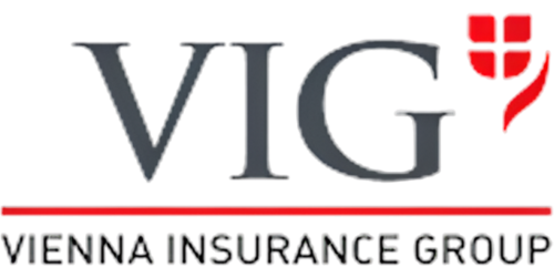 VIG RE