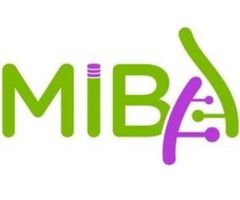 Miban Alytics