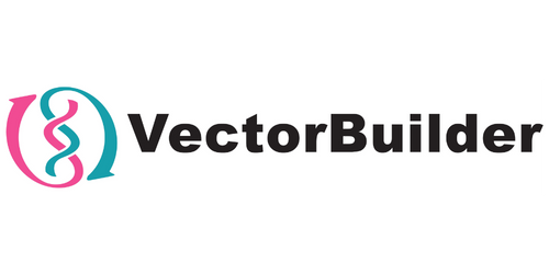 VectorBuilder Inc