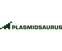 plasmidsaurus