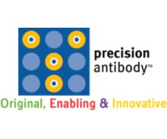 precisionantibody
