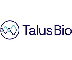 talus