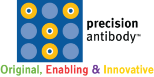Precision Antibody