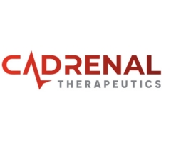 cadrenal