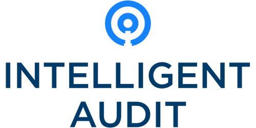 Intelligent Audit